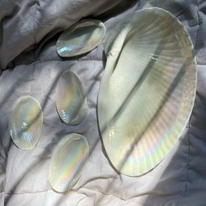 Wedgwood Bone China Nautilus Lustre